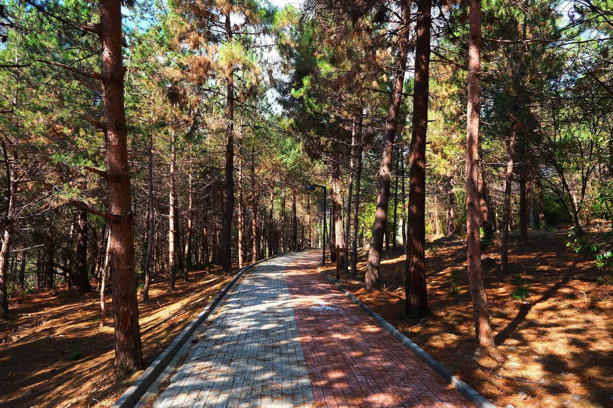 Sakarya’da 5 Nisan’da Huzur Koridoru’nda Düzenlenecek 23 Nisan Halk Koşusu ile Bahara Sporla Merhaba