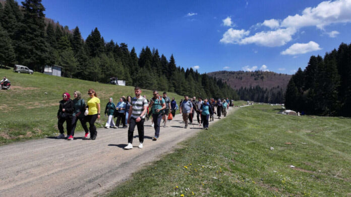 Pamukova'da İnönü ve Ercova Yaylalarında Doğa Yürüyüşleri Baharı Karşıladı