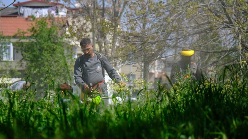 Serdivan Bahçelievler Mahallesi’nde Kirişhane Caddesi’nde Bahar Bakım Çalışmaları Kamuoyunda İlgi Görüyor
