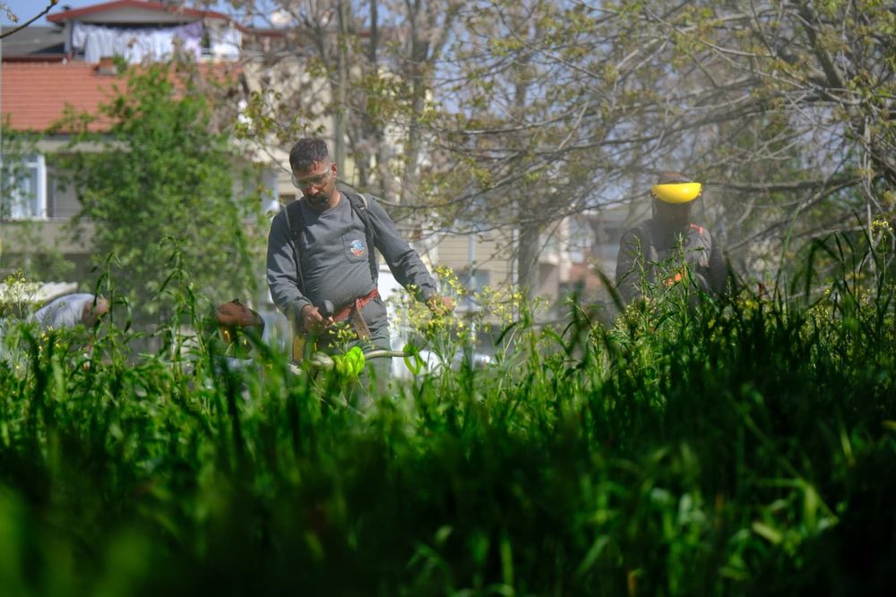 Serdivan Bahçelievler Mahallesi’nde Kirişhane Caddesi’nde Bahar Bakım Çalışmaları Kamuoyunda İlgi Görüyor